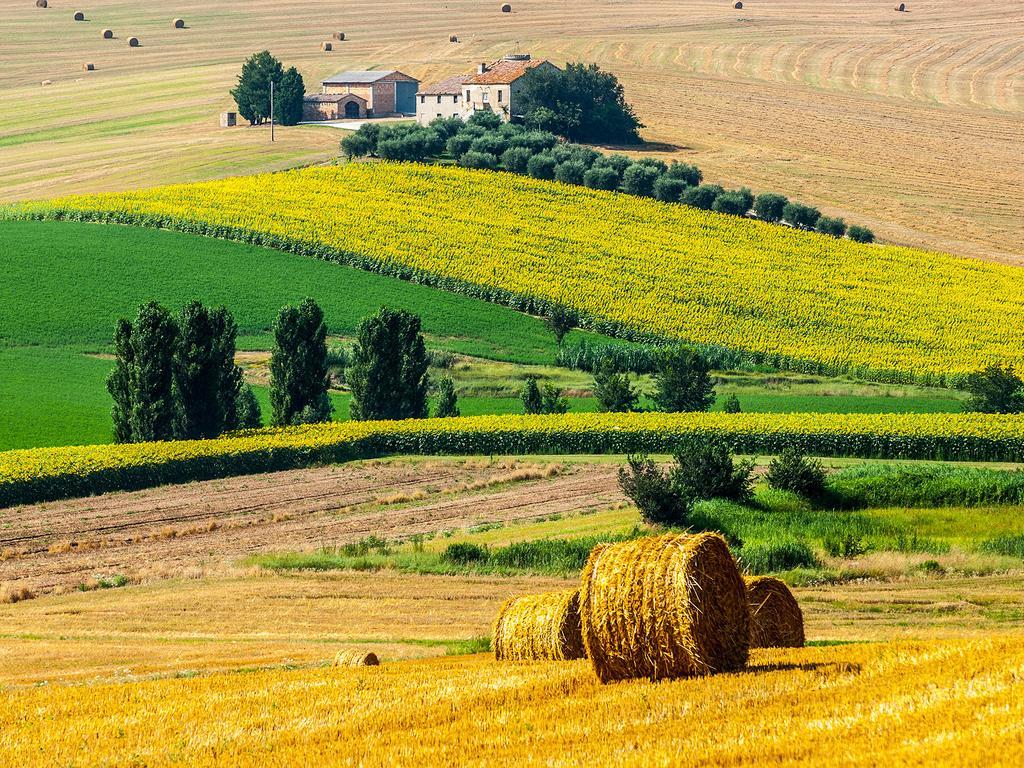 B&B Villa Paradiso Urbino Bagian luar foto