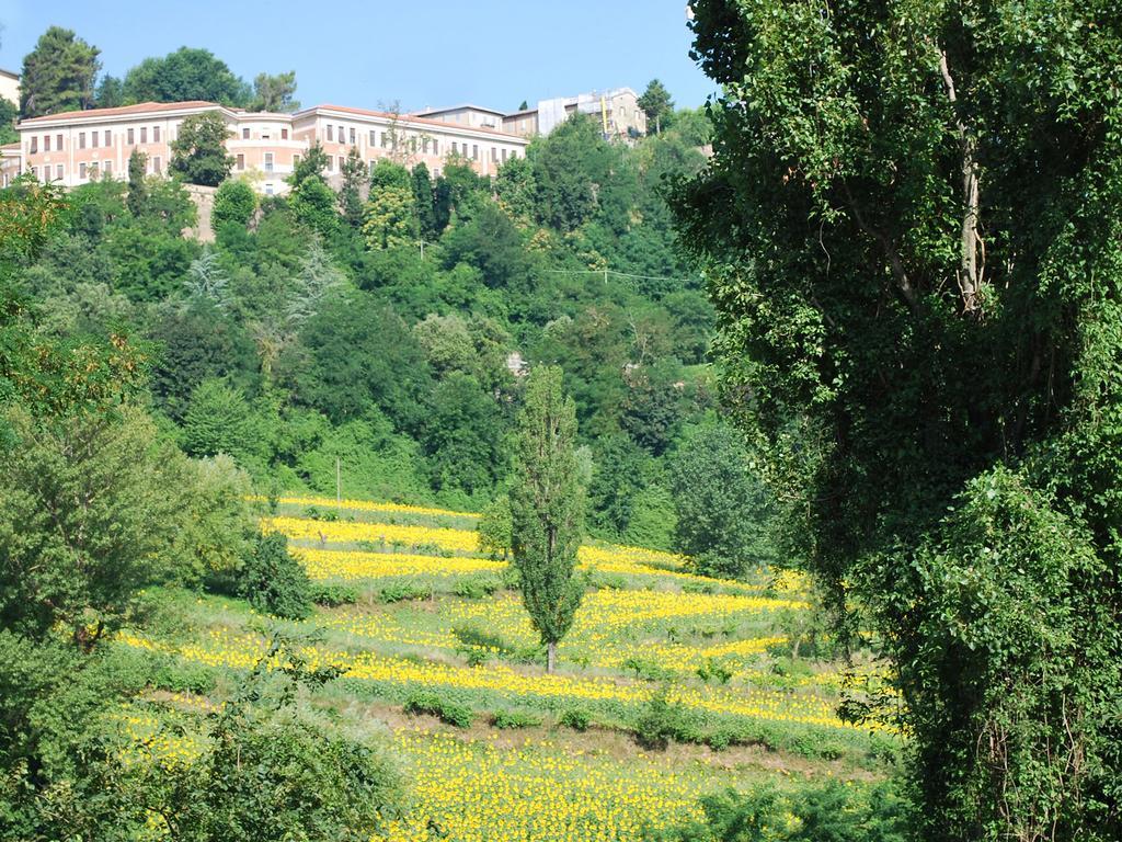 B&B Villa Paradiso Urbino Bagian luar foto